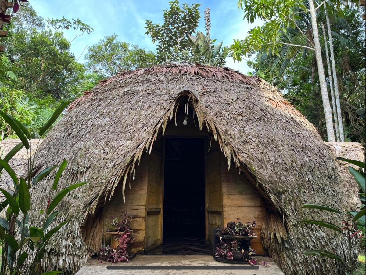 Palmayacu - Refugio Amazonico Leticia Esterno foto