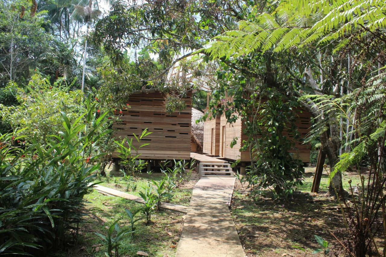 Palmayacu - Refugio Amazonico Leticia Esterno foto
