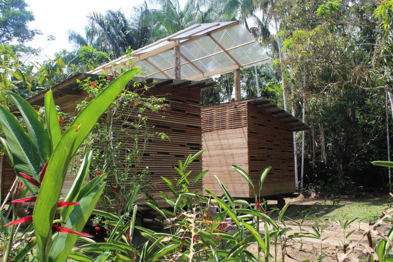 Palmayacu - Refugio Amazonico Leticia Esterno foto