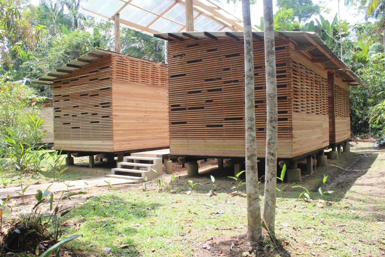 Palmayacu - Refugio Amazonico Leticia Esterno foto